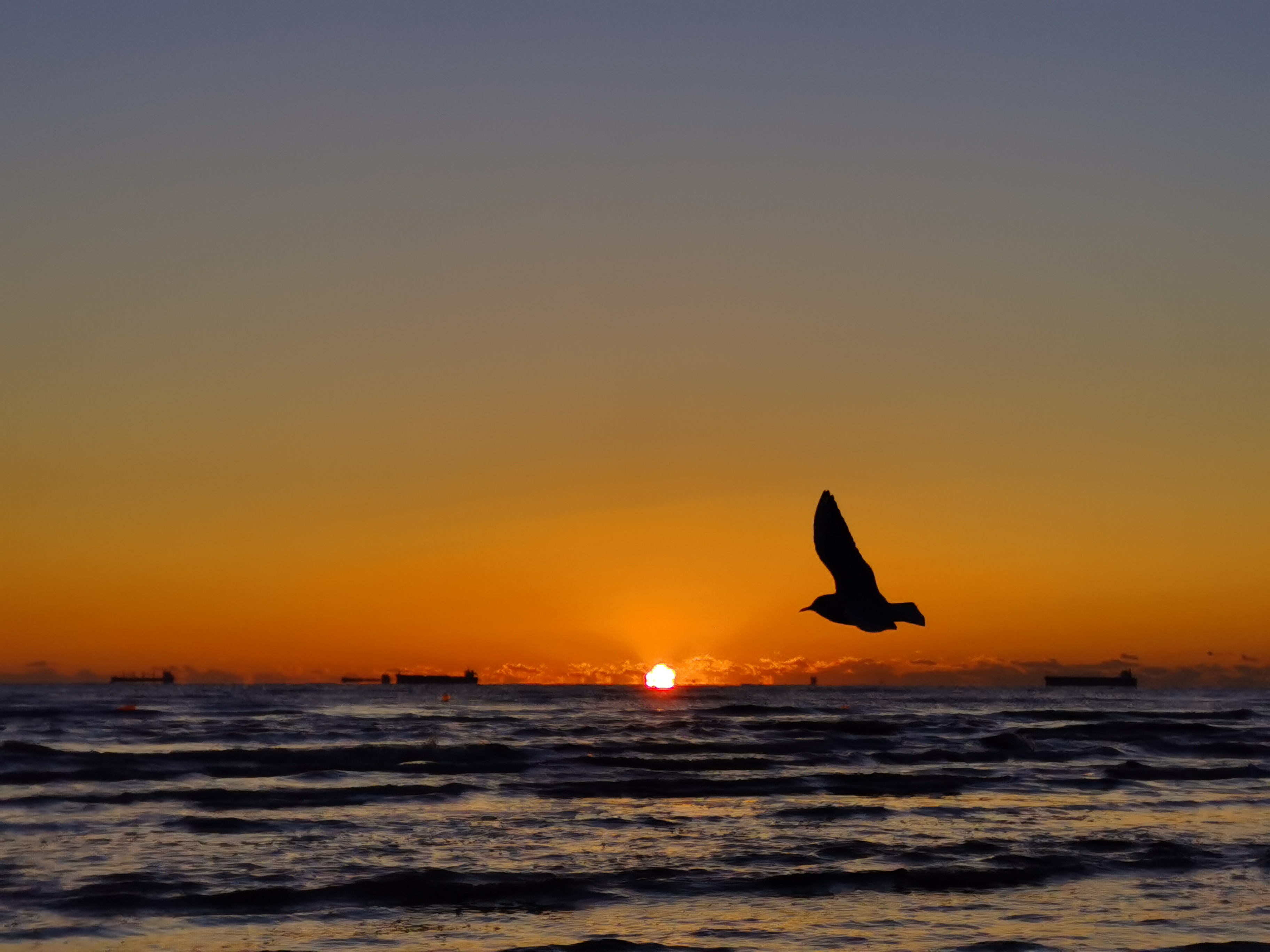 thumbnail of the cover of the post